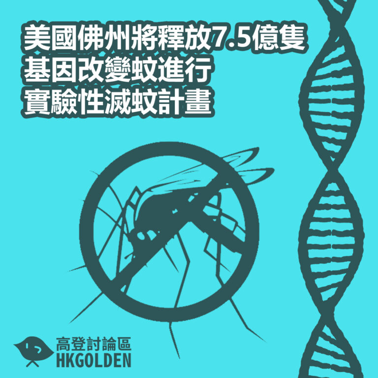 美國佛州將釋放7.5億隻基因改造蚊 進行實驗性滅蚊計畫