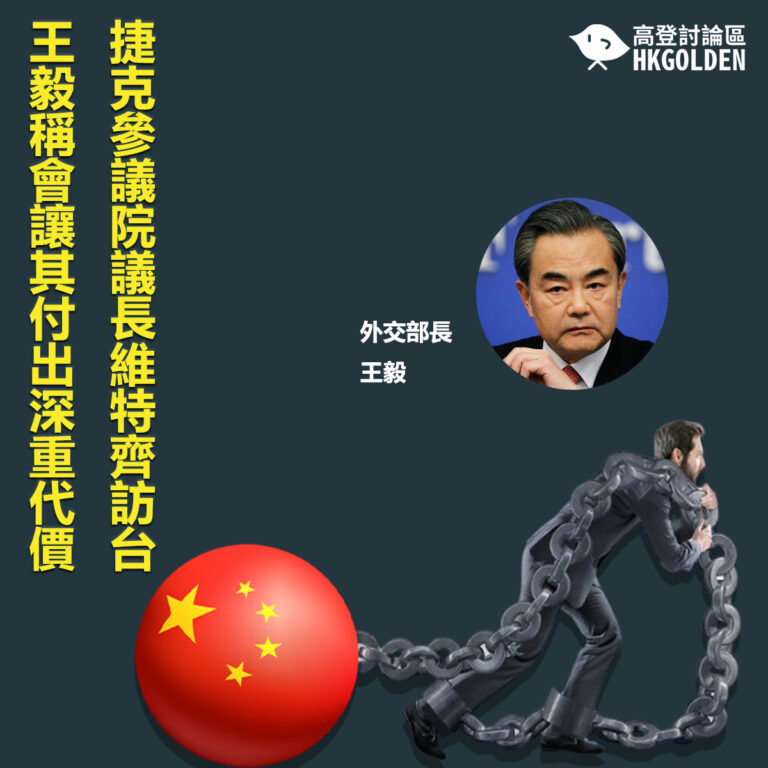 捷克參議院議長維特齊訪台  王毅稱會讓其付出沉重代價