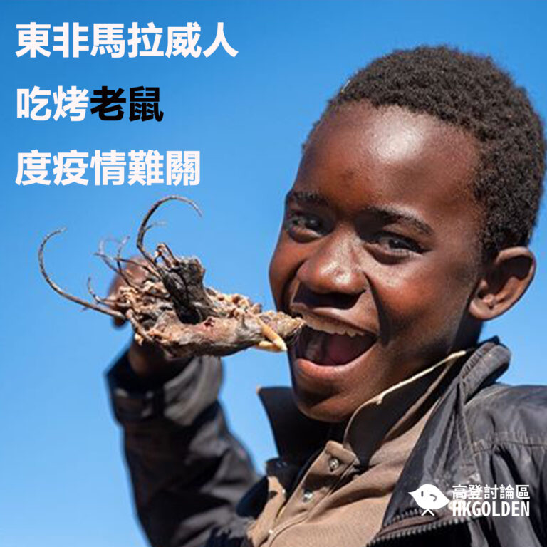 東非馬拉威人吃烤老鼠度疫情難關
