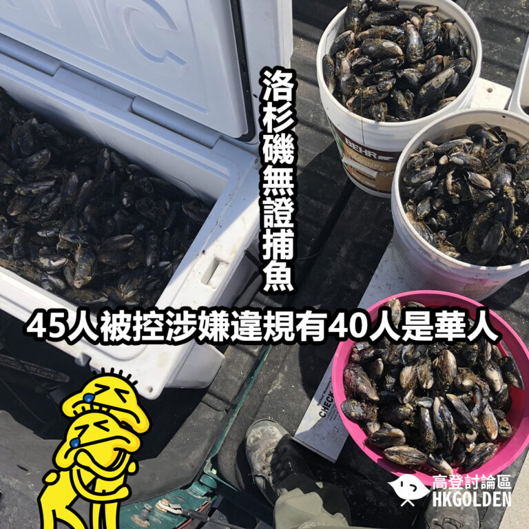 洛杉磯無證捕魚   45人被控涉嫌違規有40人是華人