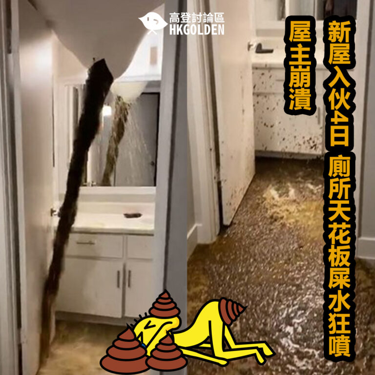 新屋入伙4日 廁所天花板屎水狂噴 屋主崩潰