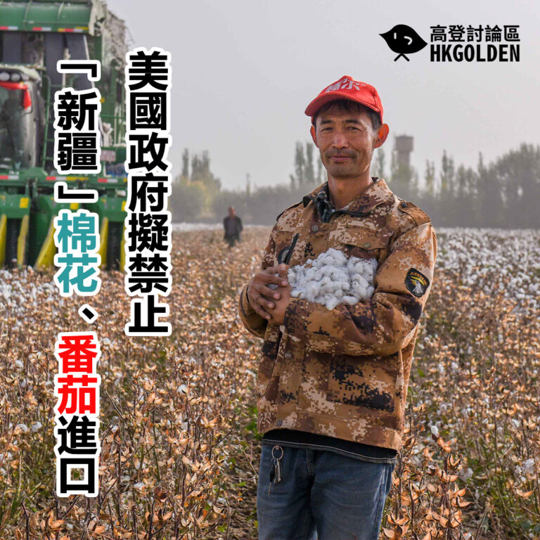 美國政府擬禁止「新疆」棉花、番茄進口