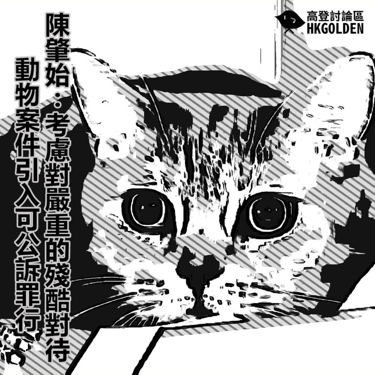 陳肇始:考慮對嚴重的殘酷對待動物案件引入可公訴罪行