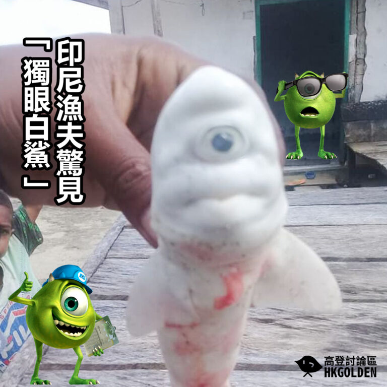印尼漁夫驚見「獨眼白鯊」