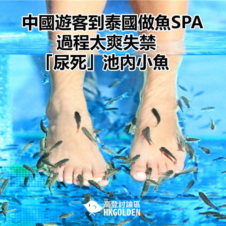 中國遊客到泰國做魚SPA  過程太爽失禁「尿死」池內小魚