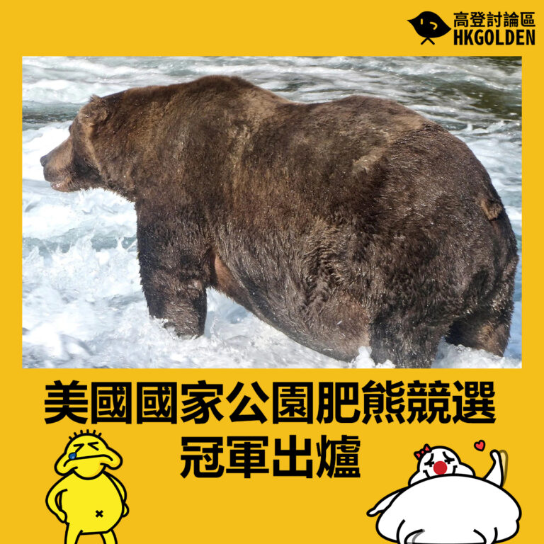 美國國家公園肥熊競選 冠軍出爐