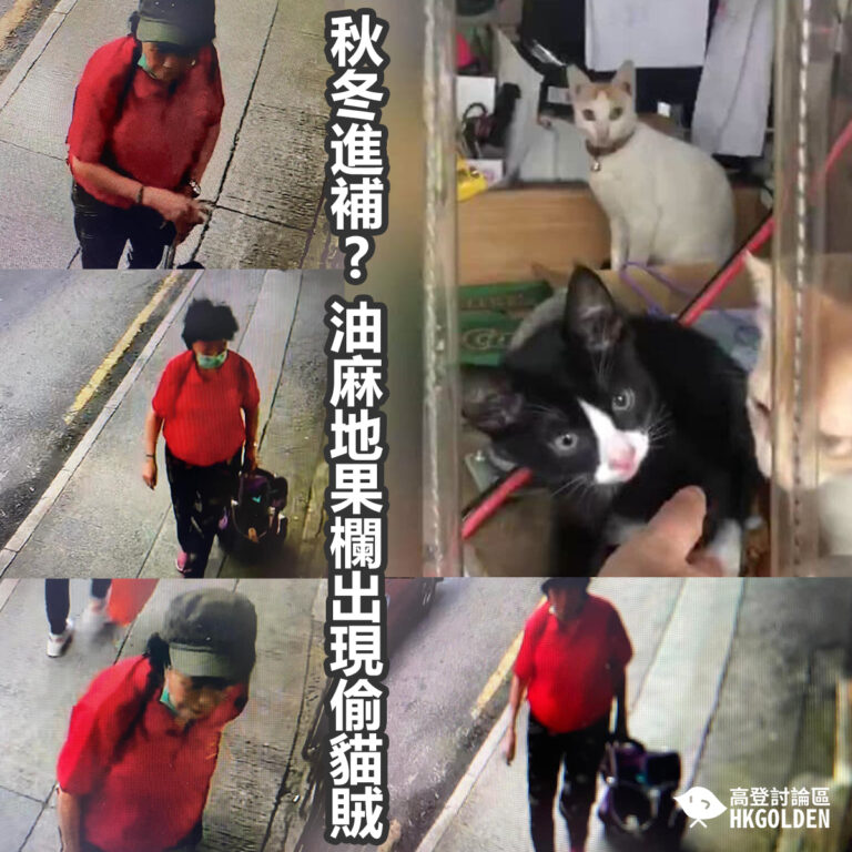 秋冬進補? 油麻地果欄出現偷貓賊