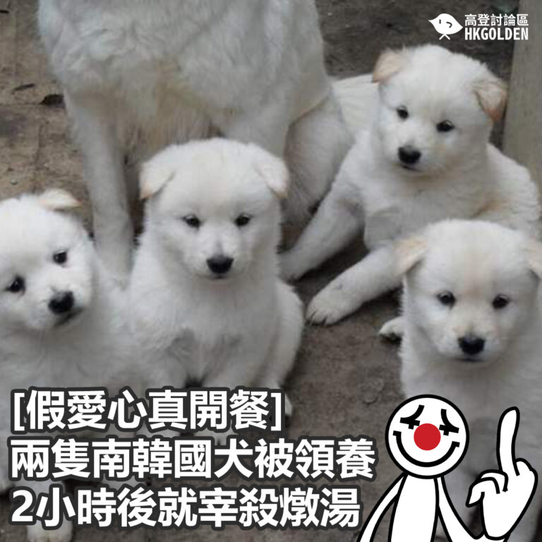 假愛心真開餐   兩隻南韓國犬被領養2小時後就宰殺燉湯