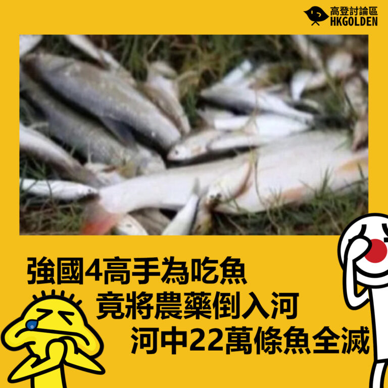強國4高手為吃魚竟將農藥倒入河   河中22萬條魚全滅