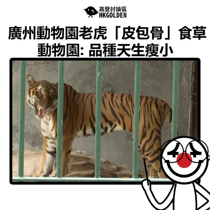 dffdasfdasfas