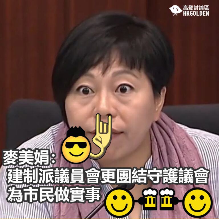 麥美娟： 建制派議員會更團結守護議會  為市民做實事