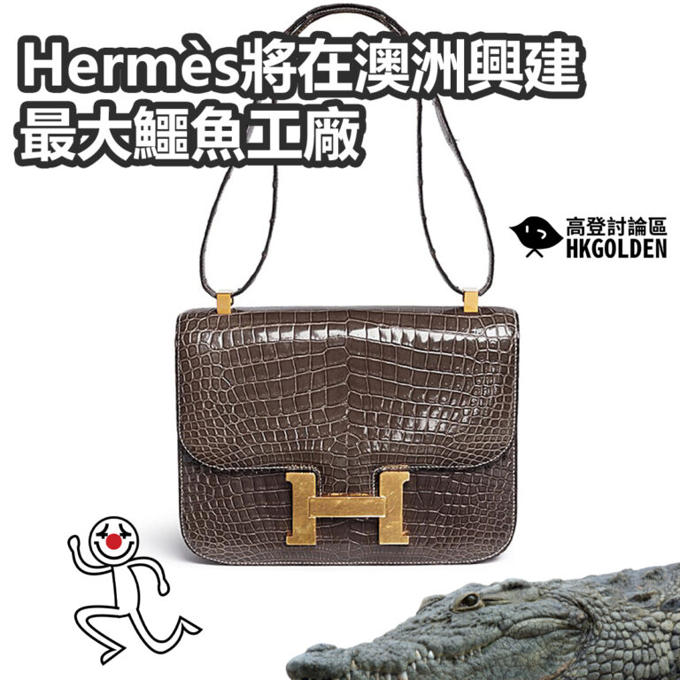 Hermès將在澳洲興建最大鱷魚工廠
