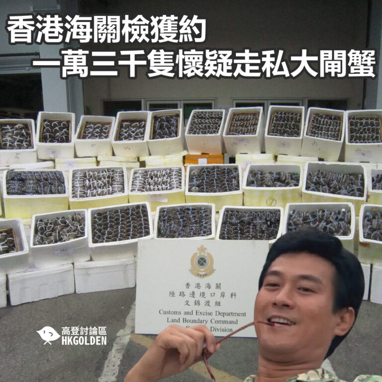 香港海關檢獲約一萬三千隻懷疑走私大閘蟹