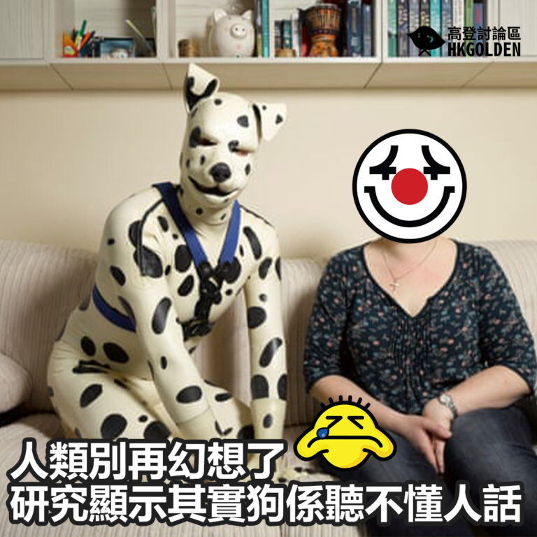 人類別再幻想了 研究顯示其實狗係聽不懂人話
