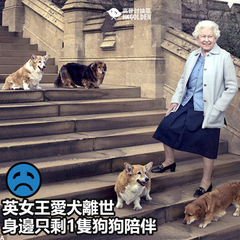 【英女王愛犬離世 身邊只剩1隻狗狗陪伴】