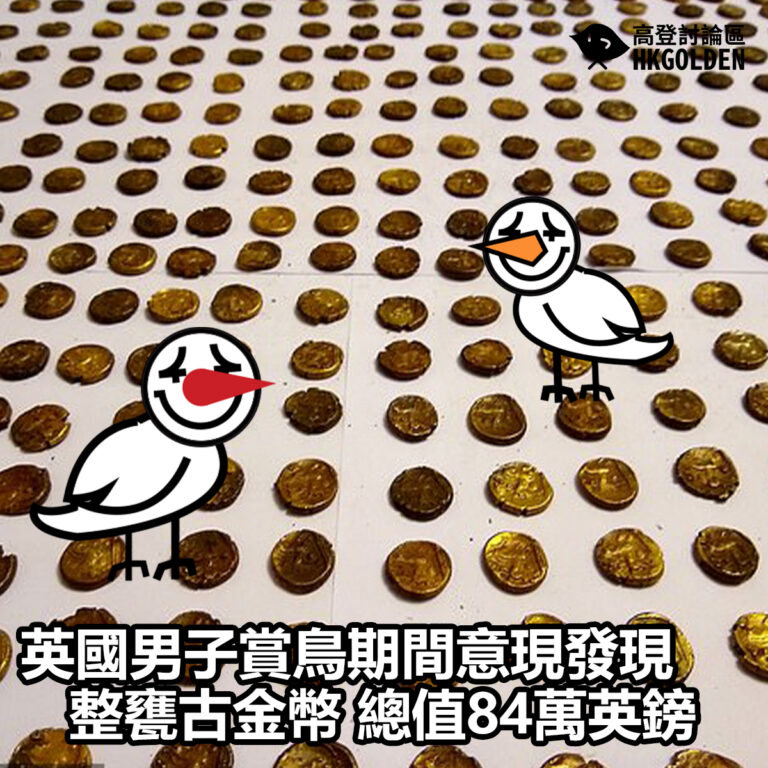 【英國男子賞鳥期間意現發現整甕古金幣 總值84萬英鎊】