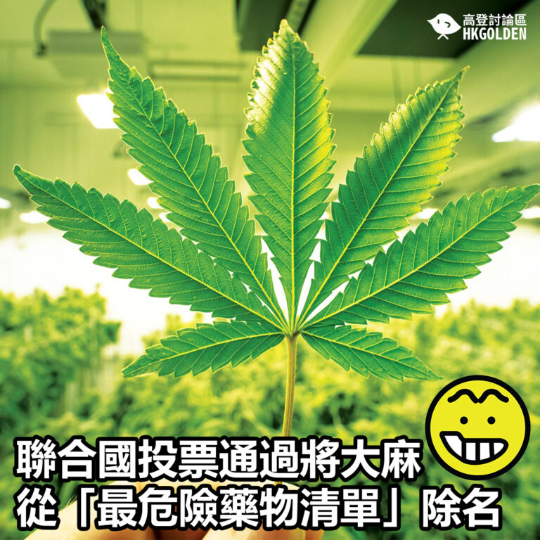 聯合國投票通過將金大麻從「最危險藥物清單」除名