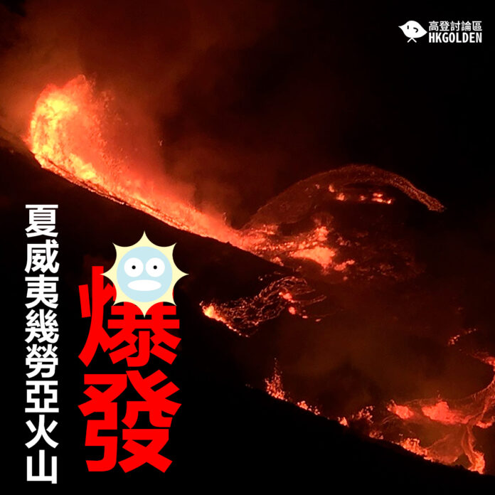 efgasvs粕耿木