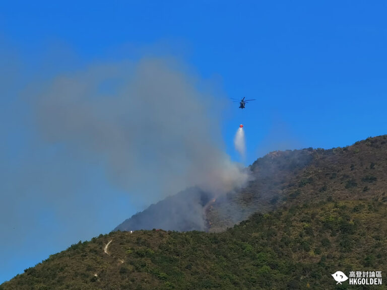 【沙田帝堡城後山山火】
