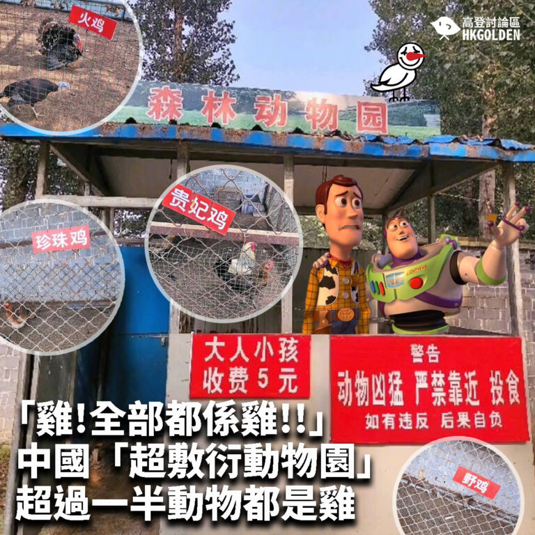 【「雞!全部都係雞!!」中國「超敷衍動物園」超過一半動物都是雞】