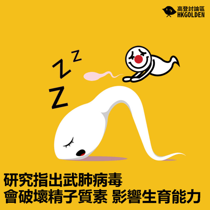 cfvzsvzvs