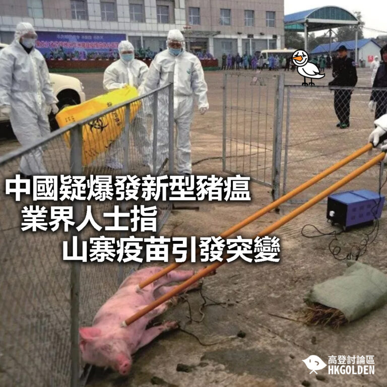 【中國疑爆發新型豬瘟   業界人士指山寨疫苗引發突變】