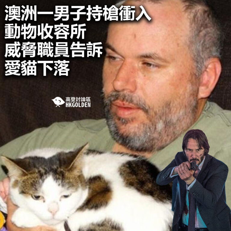 【澳洲一男子持槍衝入動物收容所  威脅職員告訴愛貓下落】