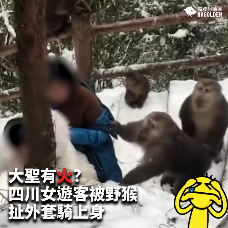 【大聖有火?  四川女遊客被野猴扯外套騎上身】