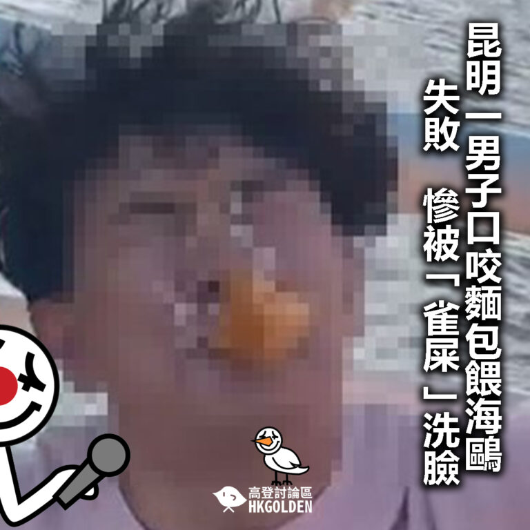 【昆明一男子口咬麵包餵海鷗失敗   慘被「雀屎」洗臉 】