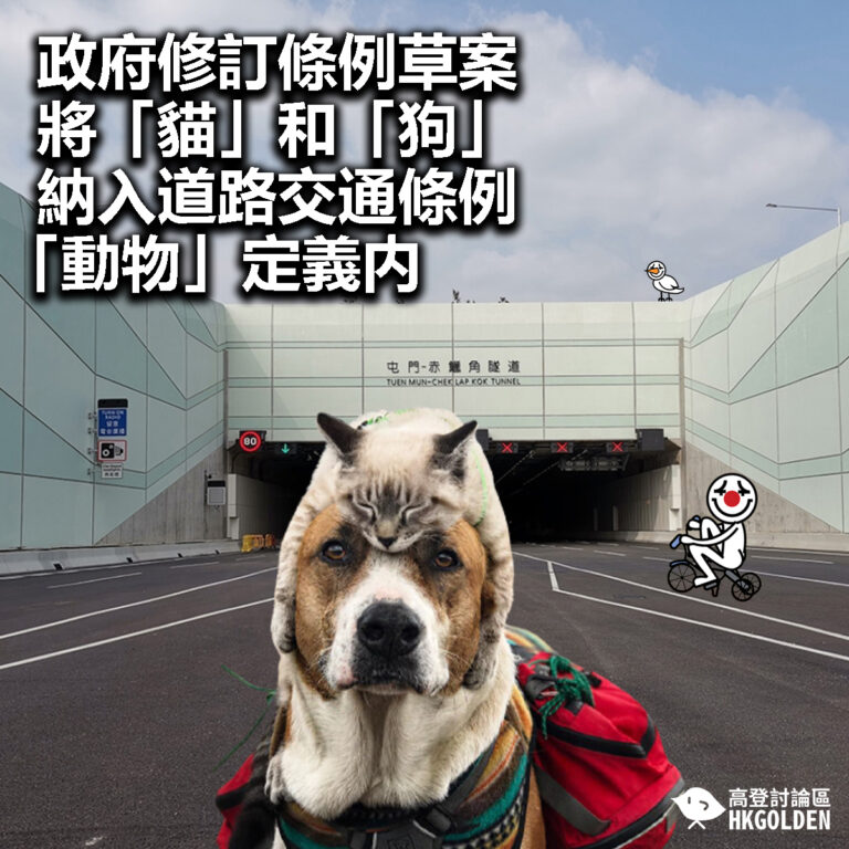 【政府修訂條例草案  將「貓」和「狗」納入道路交通條例「動物」定義内】