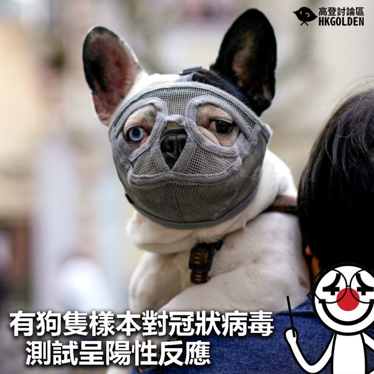 【有狗隻樣本對2019冠狀病毒病病毒測試呈陽性反應】