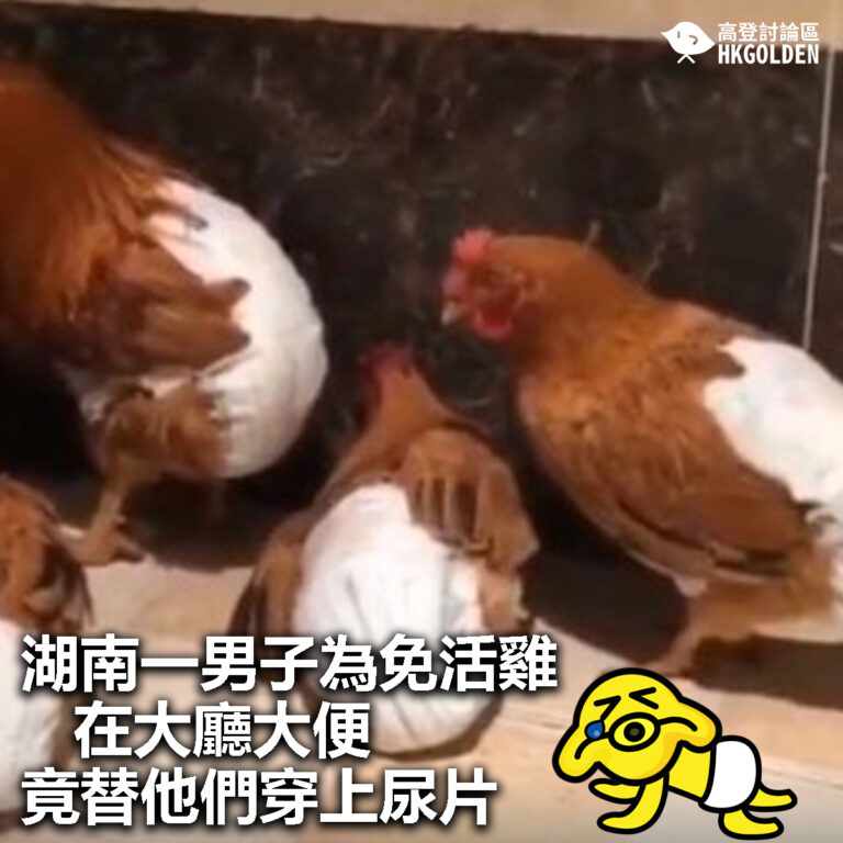 【湖南一男子為免活雞在大廳大便　竟替他們穿上尿片】