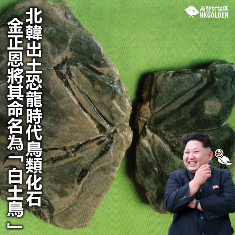 【北韓出土恐龍時代鳥類化石  金正恩將其命名為「白土鳥」】