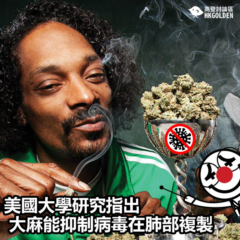【美國大學研究指出  大麻能抑制病毒在肺部複製】