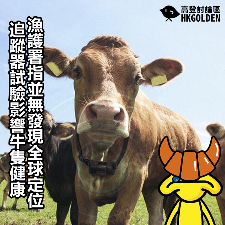 【漁護署指並無發現全球定位追蹤器試驗影響牛隻健康】