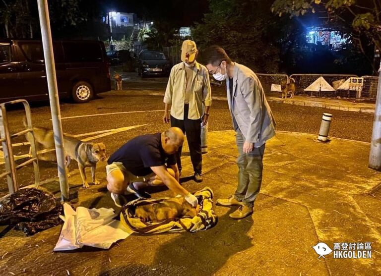 【冷血的士司機撞至毛孩身亡卻不顧而去】