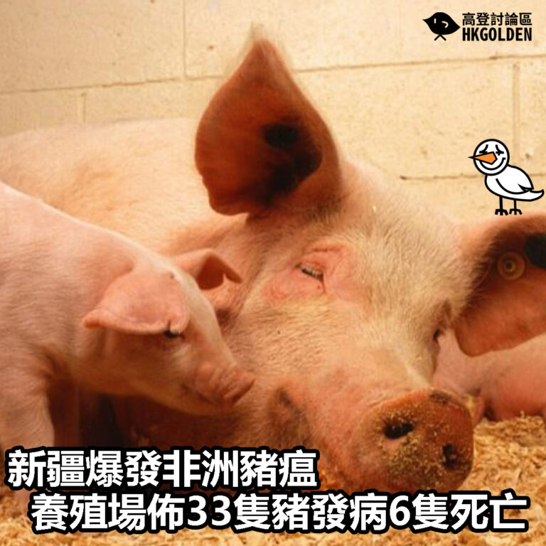 【新疆爆發非洲豬瘟  養殖場佈33隻豬發病6隻死亡】