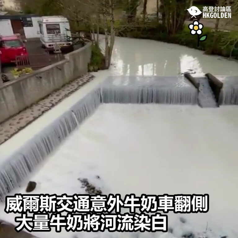 【威爾斯交通意外牛奶車翻側 大量牛奶將河流染白】