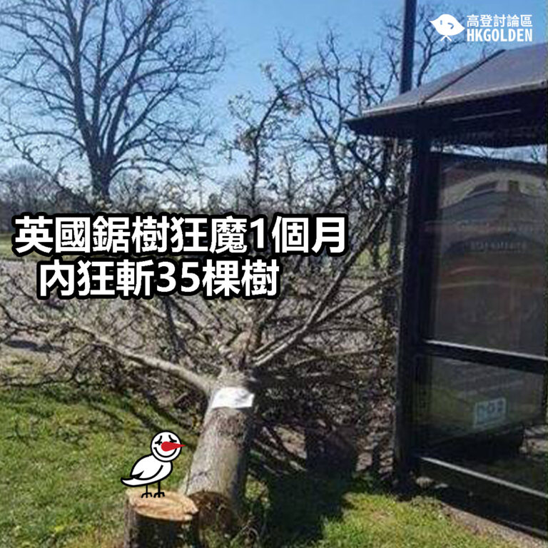 【英國鋸樹狂魔1個月內狂斬35棵樹】