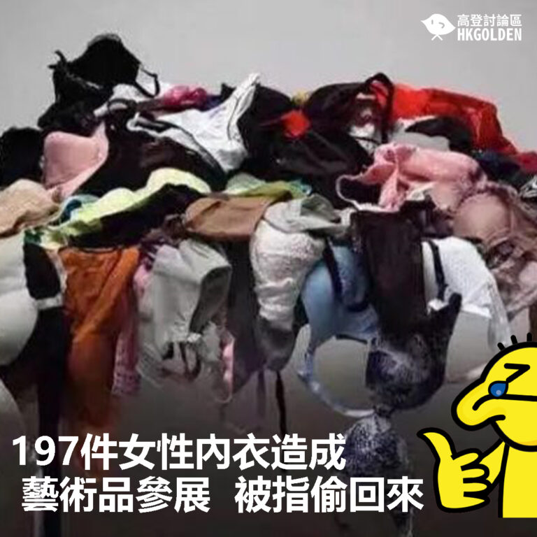 【197件女性內衣造成藝術品參展  被爆指偷回來】
