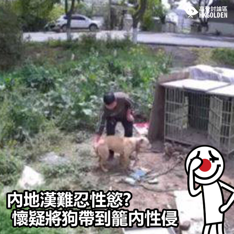 【內地漢難忍性慾? 懷疑將狗帶到籠內性侵】