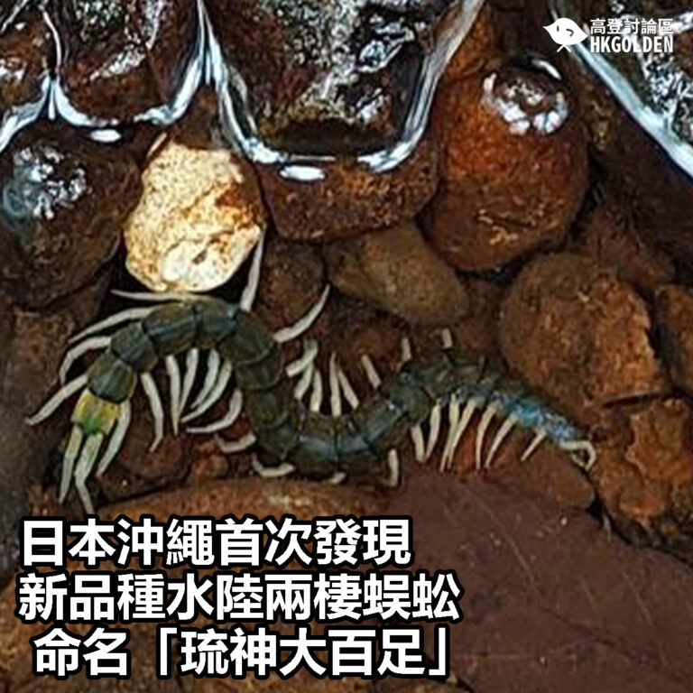 【日本沖繩首次發現新品種水陸兩棲蜈蚣  命名「琉神大百足」】