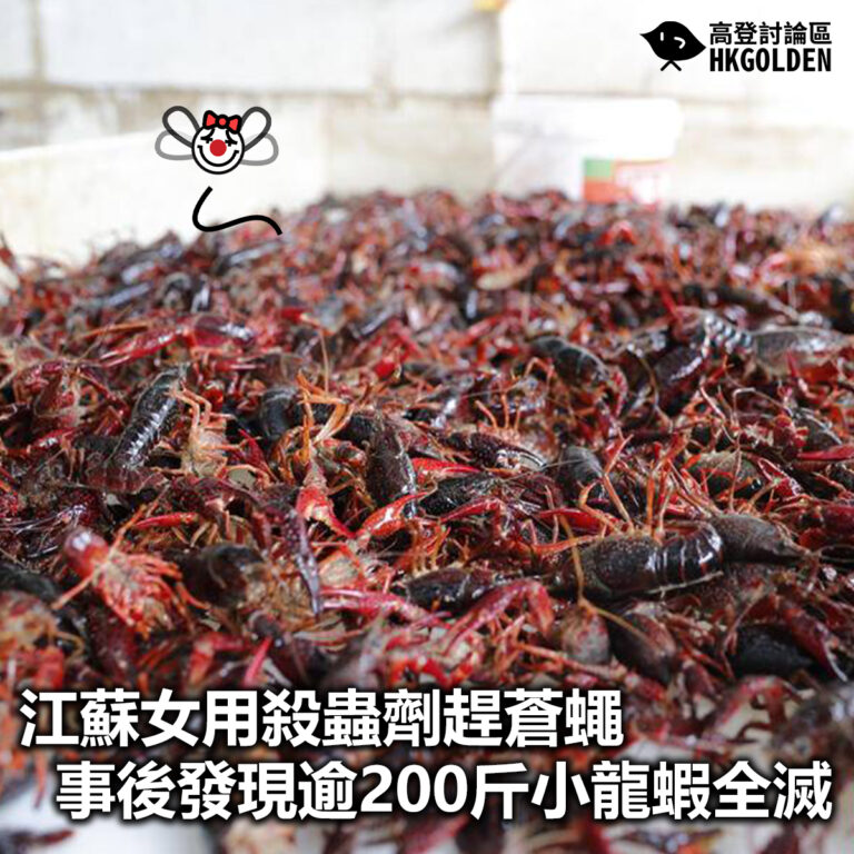 【江蘇女用殺蟲劑趕蒼蠅  事後發現逾200斤小龍蝦全滅】