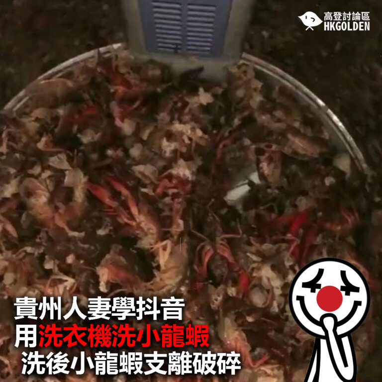 【貴州人妻跟抖音用洗衣機洗小龍蝦  洗後小龍蝦支離破碎】