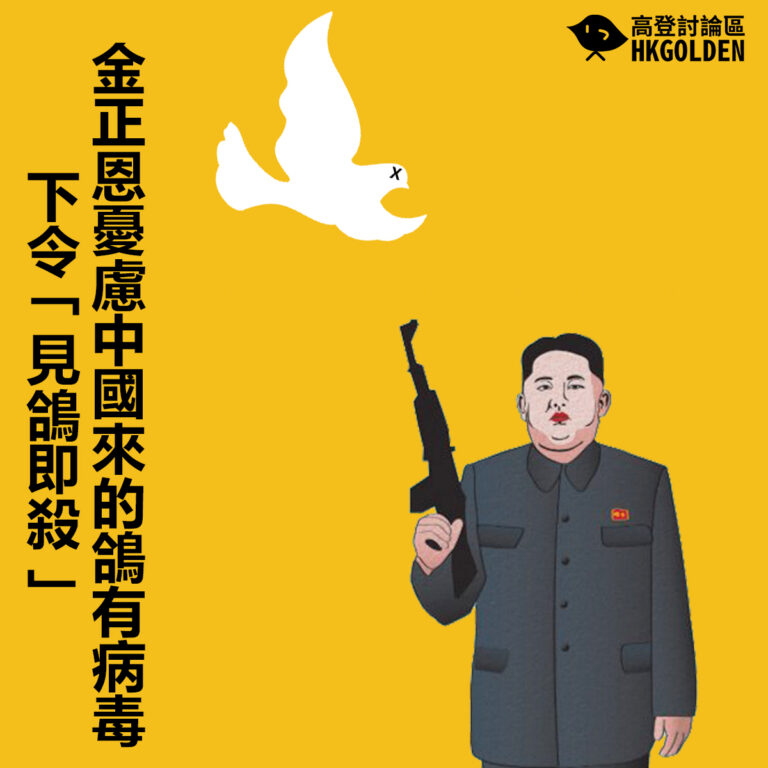 【金正恩憂慮中國來的鴿有病毒  下令「見鴿即殺」】