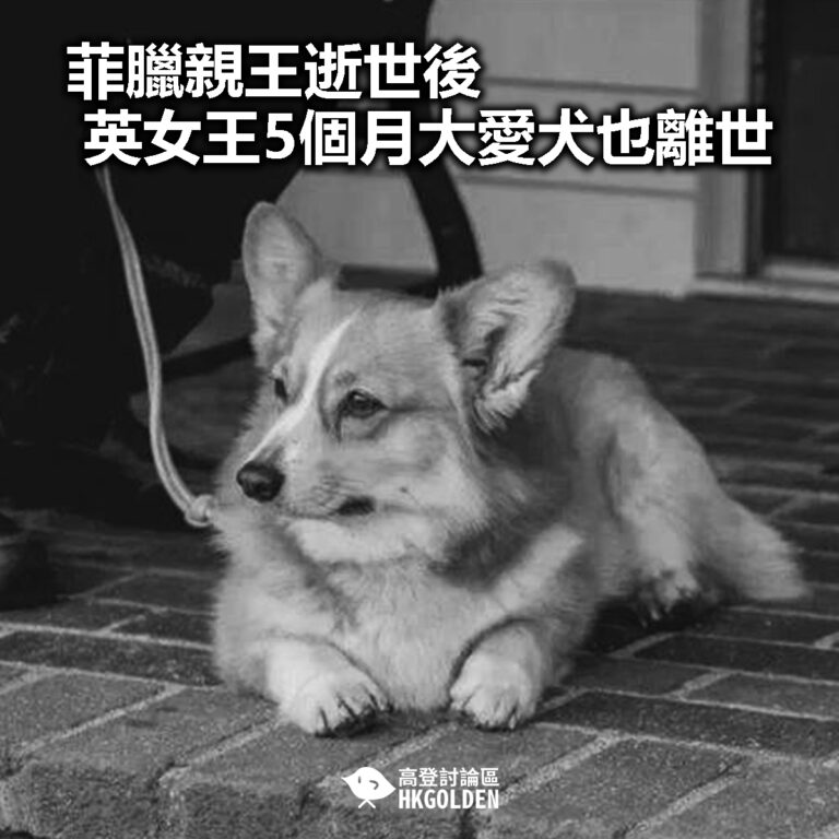 【菲臘親王逝世後  英女王5個月大愛犬也離世】