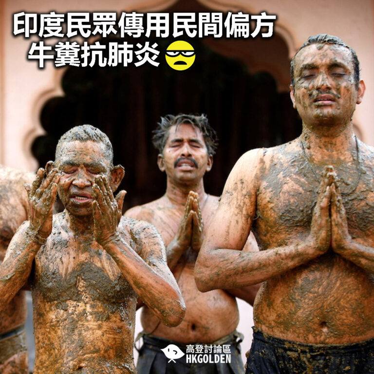 【真牛B? 印度民眾傳用民間偏方牛糞抗肺炎】