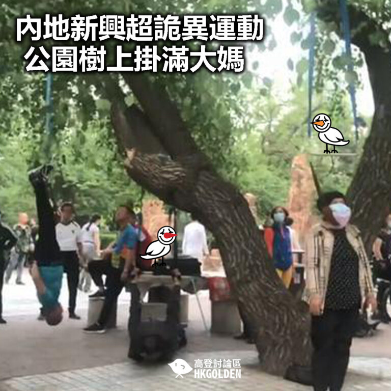 【內地新興超詭異運動 公園樹上掛滿大媽】