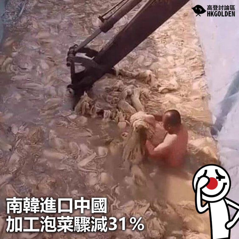 【南韓進口中國加工泡菜驟減31％】
