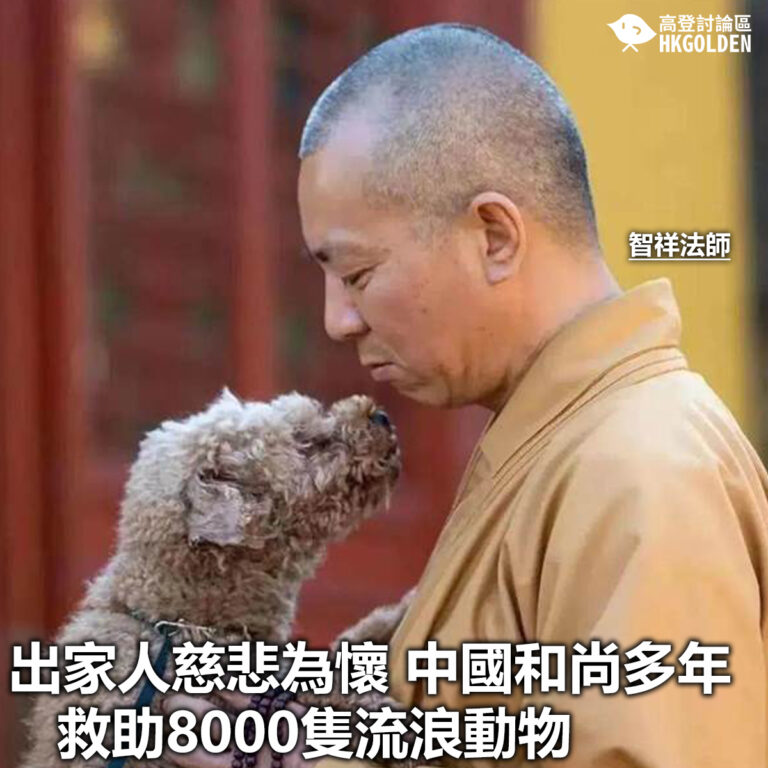 【出家人慈悲為懷 中國和尚多年救助8000隻流浪動物 】